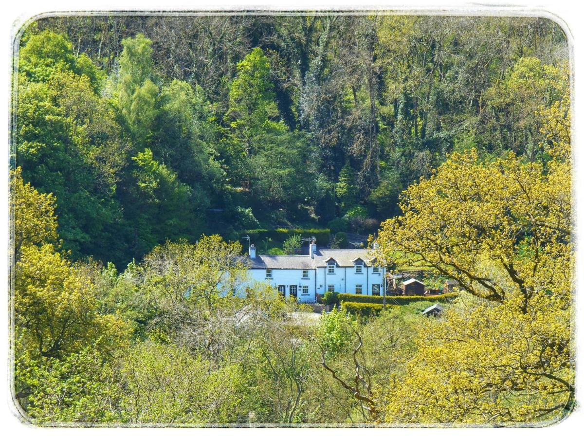 River Cottage St Asaph Buitenkant foto