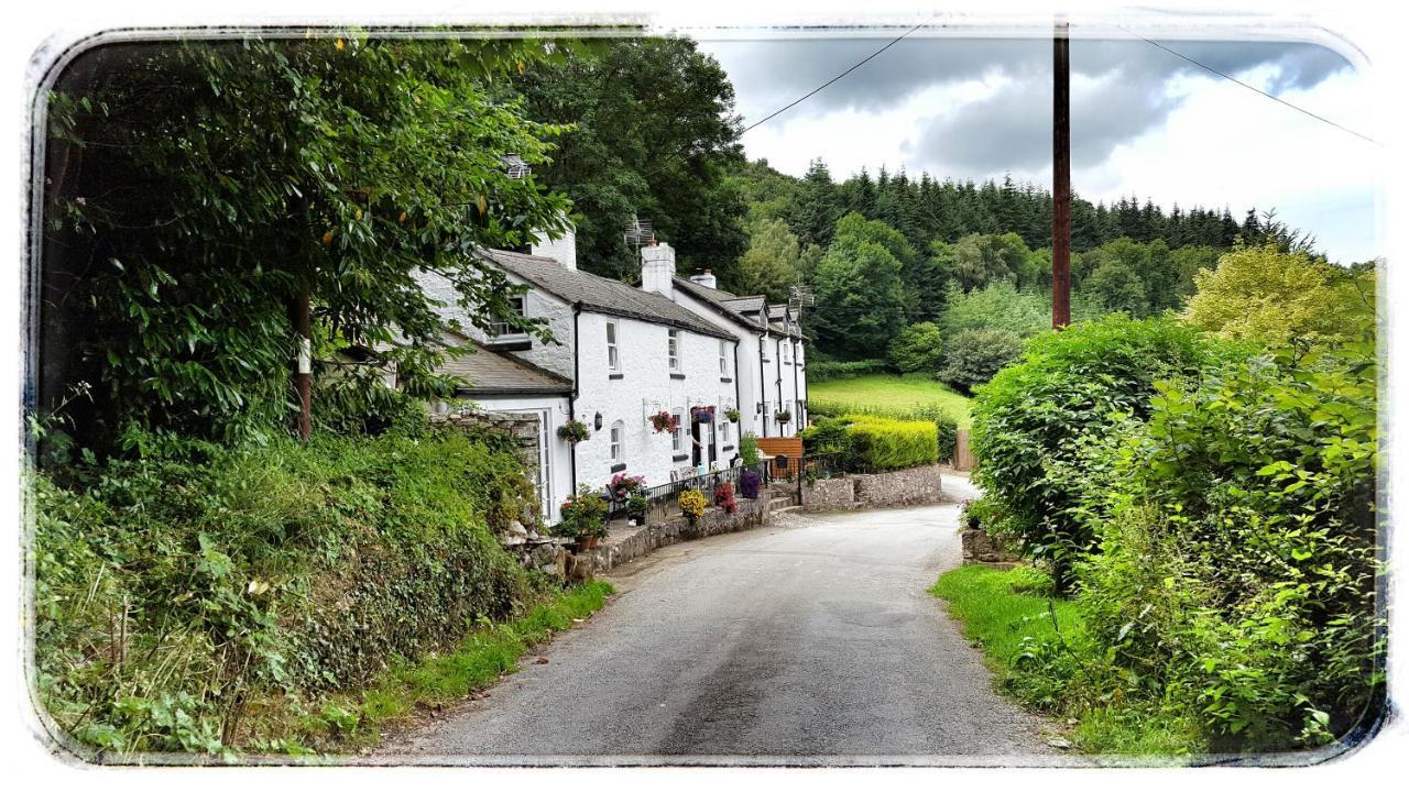 River Cottage St Asaph Buitenkant foto