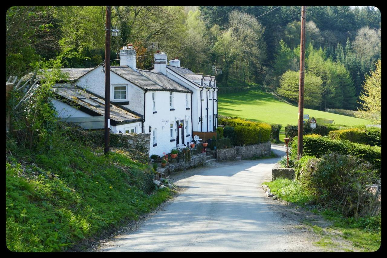 River Cottage St Asaph Buitenkant foto