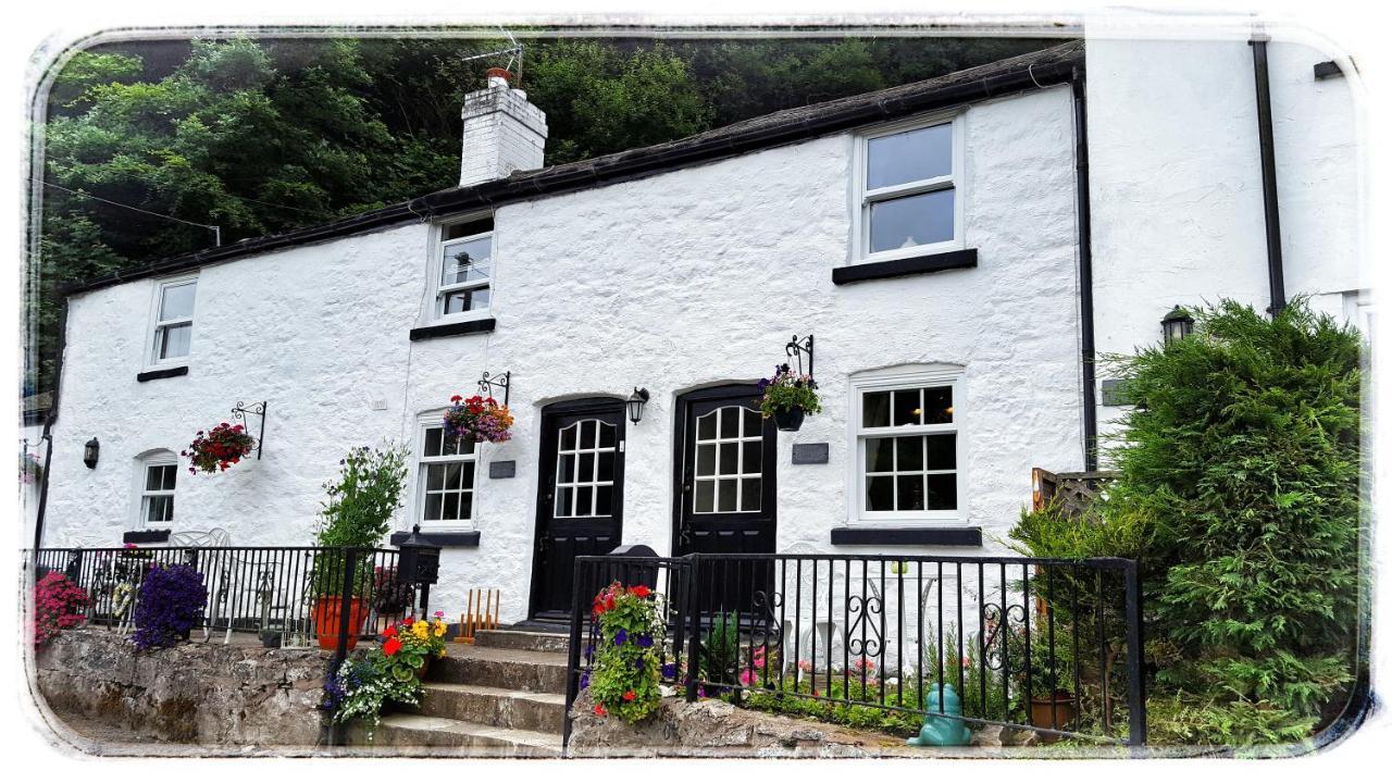 River Cottage St Asaph Buitenkant foto